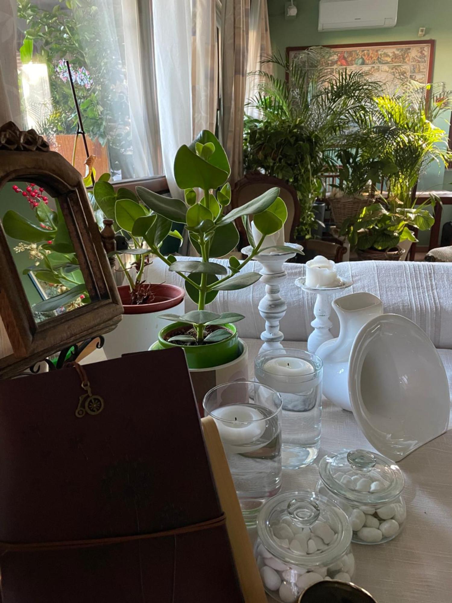 Il Giardino Di Emilia - Intero Appartamento In Villa Con Giardino Privato E Piscina Estiva Pontirolo Nuovo Экстерьер фото