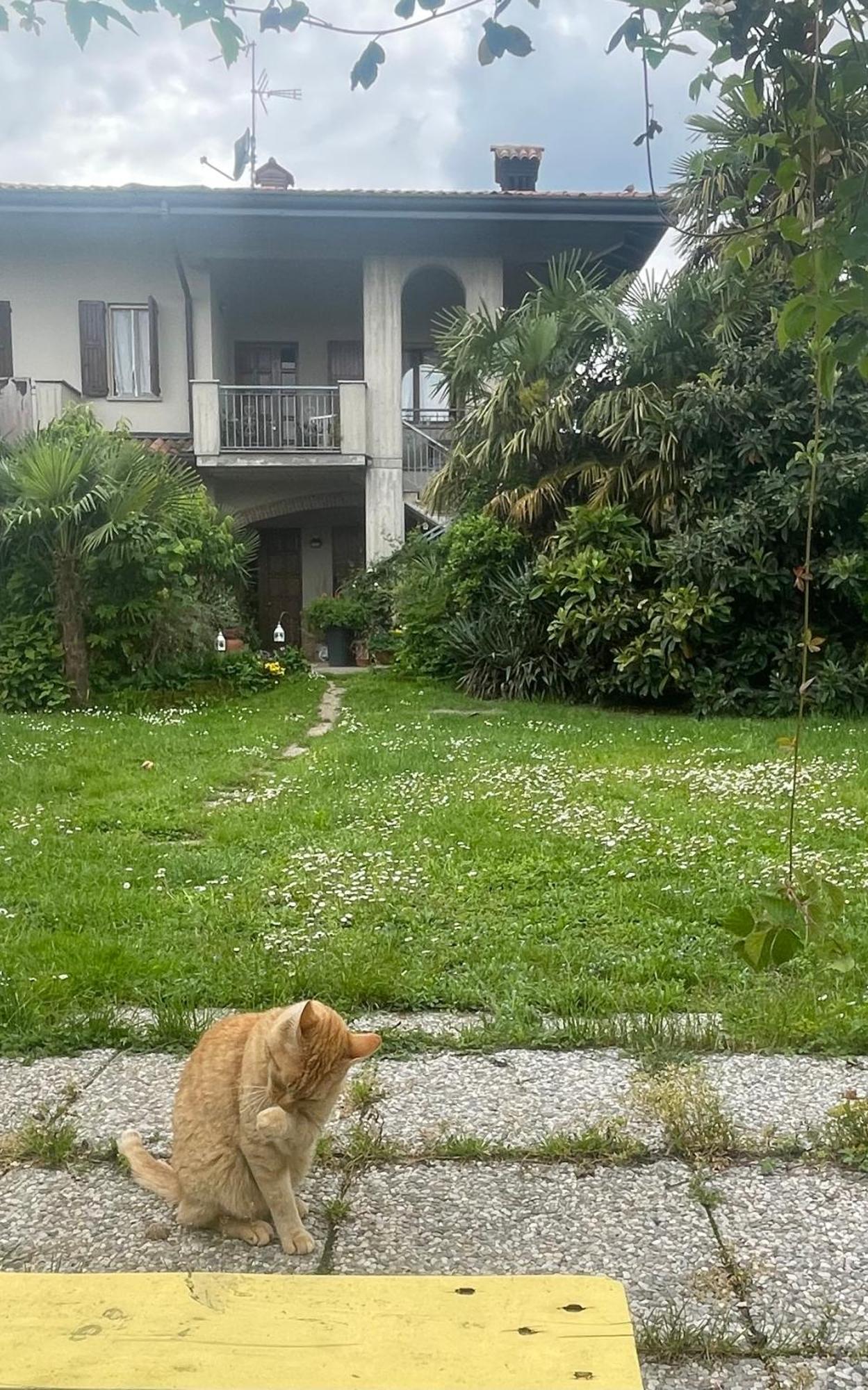 Il Giardino Di Emilia - Intero Appartamento In Villa Con Giardino Privato E Piscina Estiva Pontirolo Nuovo Экстерьер фото